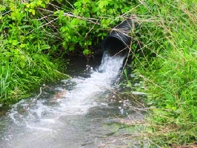 Trwa �adowanie zdj�cia...