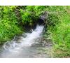 Trwa �adowanie zdj�cia...